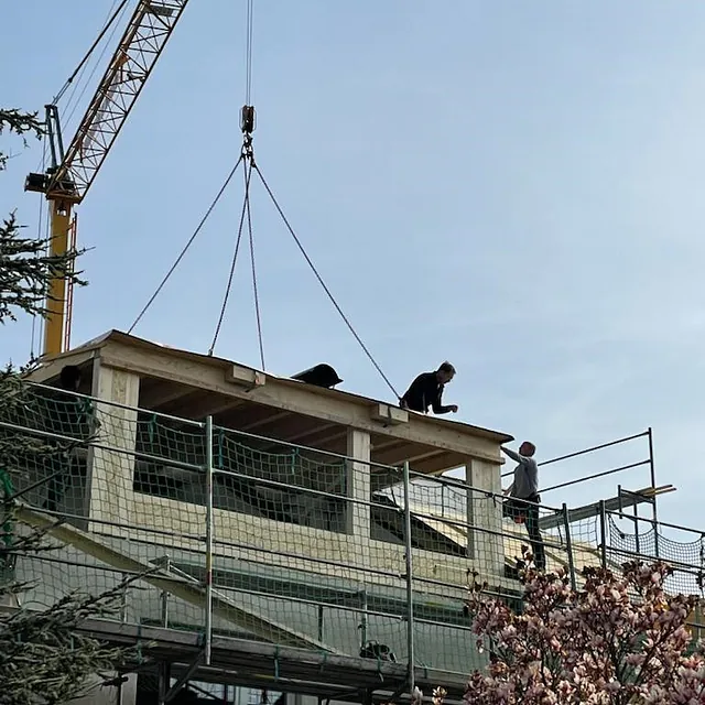 Dachsanierung mit Kran, der ein Holzbauteil auf ein eingerüstetes Gebäude hebt, zwei Arbeiter auf dem Dach, blühender Baum im Vordergrund